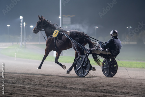 Racing horses trots and rider on a track of stadium. Competitions for trotting horse racing. Horses compete in harness racing. Horse runing at the track with rider. 