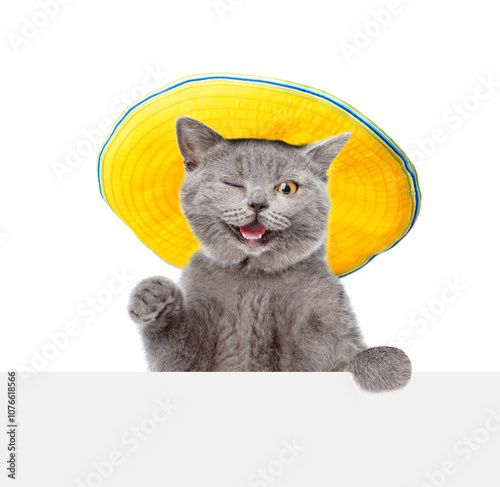 Happy winking cat wearing summer hat looks above blank white board and waving his paw. isolated on white background