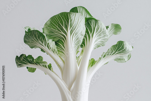 a fresh bok choy stalk with crisp white stems and green leaves, against a white background.