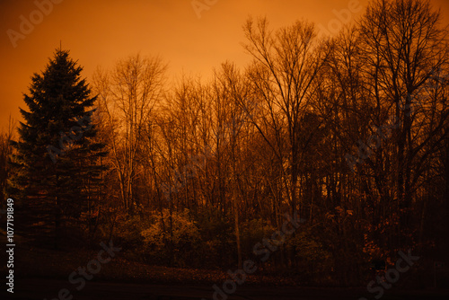 The early night sky, otherwise quite dark, reflects the light from the nearby city effectively the woods becomes a silhouette in the evening, near Hartford, Wisconsin