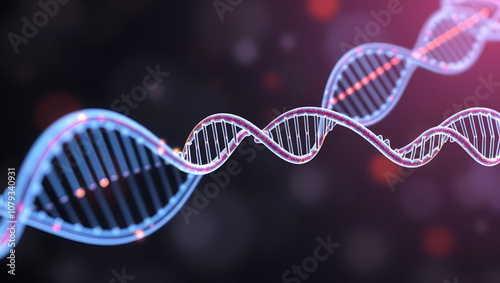 Blueprint of the structure of telomeres and their role in protecting chromosome ends during DNA replication