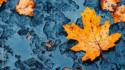 Close-up of oil-covered leaf symbolizing environmental impact of fossil fuel spills.