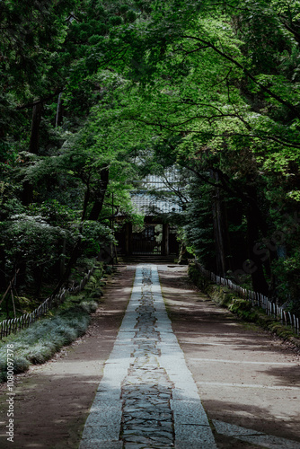 鎌倉 寿福寺の参道