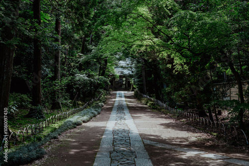 鎌倉 寿福寺の参道