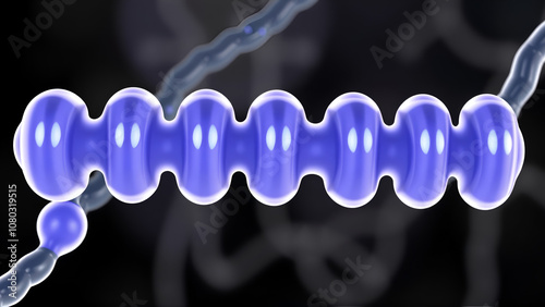 Myosin molecule scientific vector illustration diagram