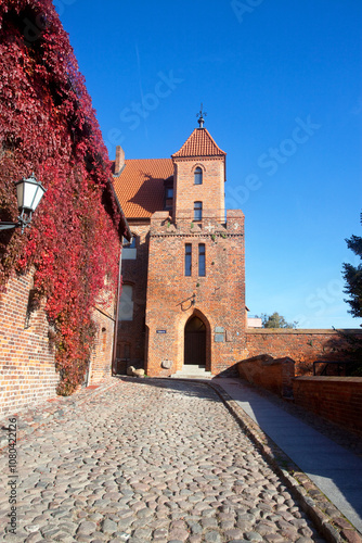 Dwór mieszczański, późnogotycki budynek zbudowany po 1484 roku, Toruń, Polska. Burgher Manor in Torun, Poland 