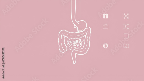 Rectum Concept, large intestine vector outline icon Design, Organ System Symbol, Human Anatomy Sign, Human Body Part Stock illustration,