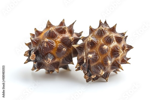 Castor Seed isolated on a white background, close up