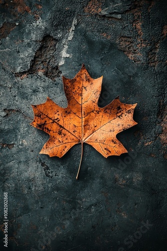 Dangerous radon concept image with isolated dry leaf on background - concept image.