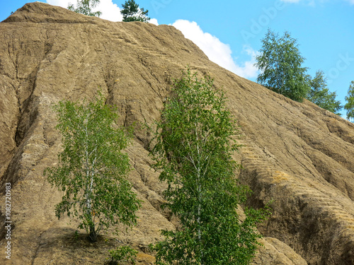 rocks with rare trees and crystal blue water in the Konduki quarry, Tula region, Russia