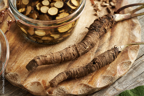 Preparation of homemade herbal tincture from fresh burdock root and alcohol in a jar