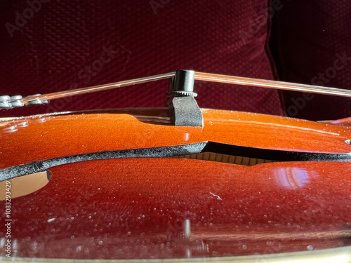 Mandolin bridge with strings on an orange sunburst mandolin