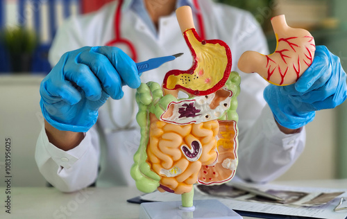 Surgeon held scalpel over an anatomical model of human stomach. Photosurgical treatment of stomach diseases and procedures concept