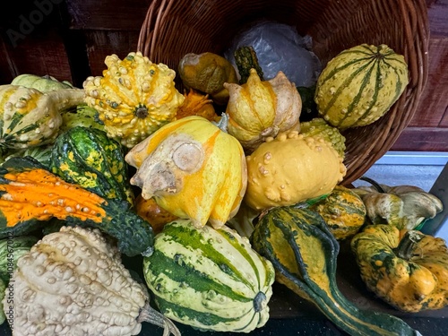 Calabazas coloridas, varios tipos, cosecha colorida