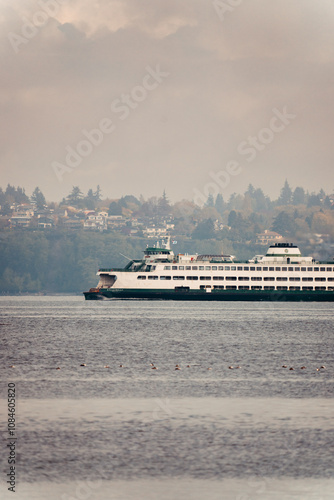 Alki Beach, Seattle, Washington Lifestyle photography featuring restaurants, social activities, and sceneries overlooking the puget sound. Highlighting the natural beauty and pet friendly lifestyle.