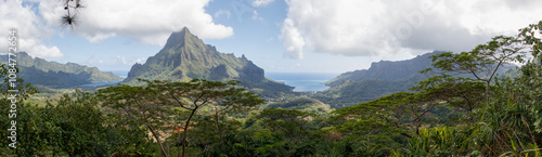 Moorea Panorama from Three Pines