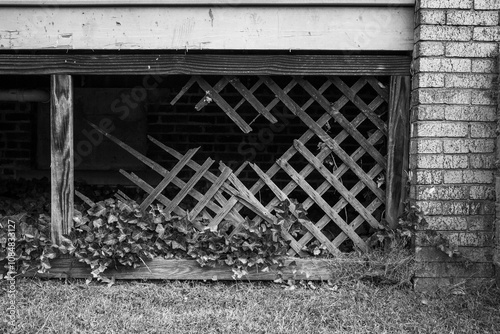 A weathered wooden lattice with splintered sections and creeping ivy, situated beneath a rustic brick structure on a quiet afternoon