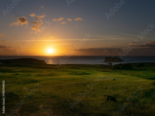 Atardecer y campo verde bañado por los últimos rayos del sol 