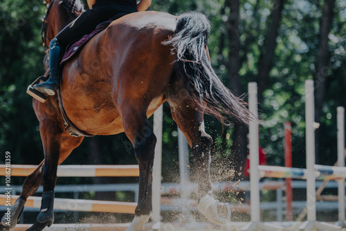 A spirited horse, ridden by a focused equestrian, leaps in a sunlit outdoor arena. The dynamic movement captures the thrill of equestrian sports amidst lush surroundings.