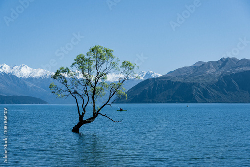 tree of wanaka