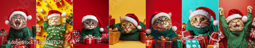 A delightful collection of kittens dressed in green sweaters and red Santa hats, surrounded by colorful holiday gifts, ornaments, and festive backgrounds. Each kitten displays a unique expression