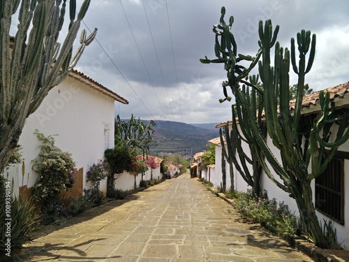 Colombian Village