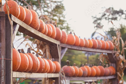 Halloween Harvest Pumpkins Retail Fall Sale Display Decoration