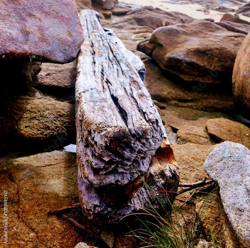 Traviesa de madera arrastrada del mar en la arena de la playa. 