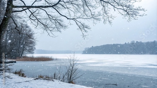 kes gently falling on a frozen lake, lake, trees, frozen world, frost