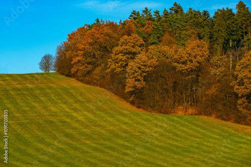 autumn field, autumn forest, beautiful sky