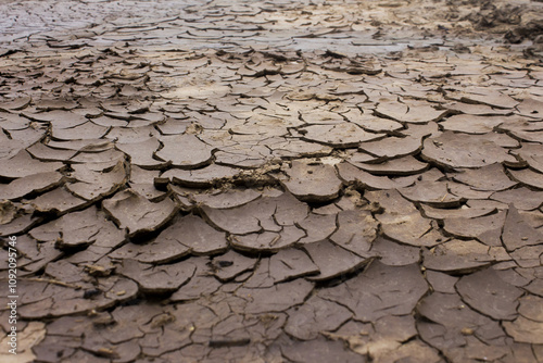 The black and white image of the ground that is broken by drought because of the El Nino phenomenon