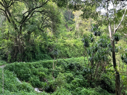 Nationalpark in Tansania 