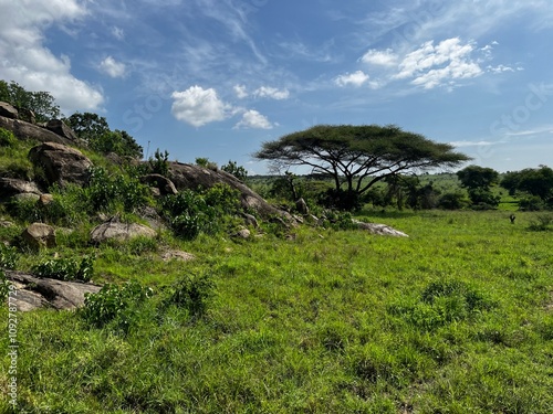 Nationalpark in Tansania 