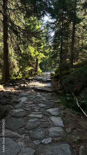 A mountain walking path made of stones leading to the top of Mount Sniezka, Poland.