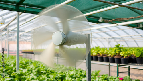 Agriculture: Greenhouse fan whirrs at full speed to pull air from inside the large unit and maintain an optimum temperature.