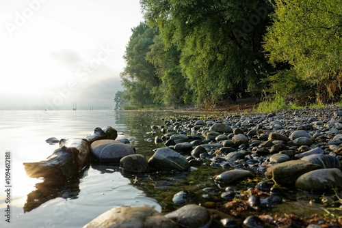 Serene beach with trees and rocks