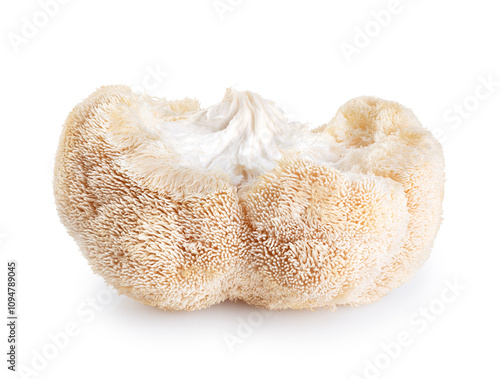 Lion's Mane mushroom isolated on white background. With clipping path.