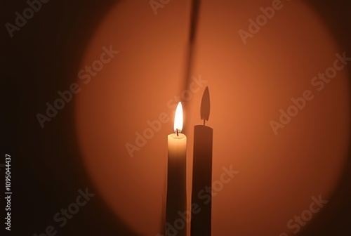 _ - Flickering, unstable shadow cast by a candle, constantly shi