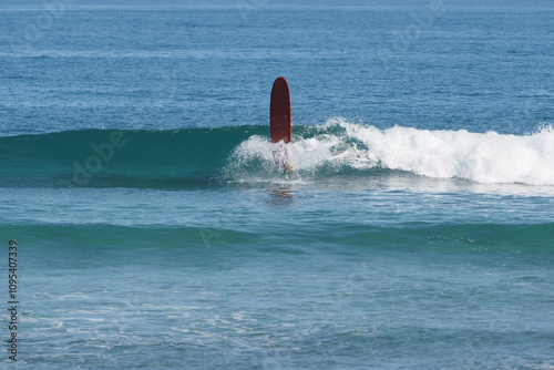 Beginner surfer falling into the ocean with surfboard longboard.