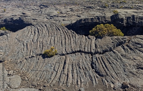 rift in basaltic lava flow earth crust, with vegetation growing inside. Pioneer plants in the enclos fouque in Piton de la Fournaise, reunion island