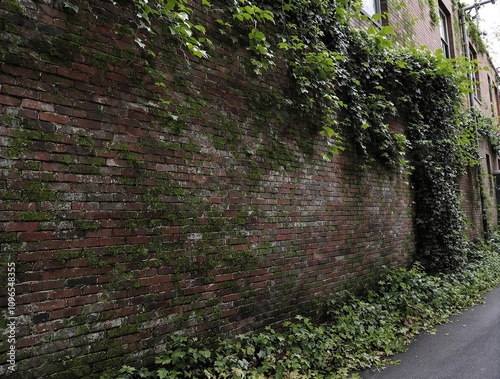 Abandoned brick wall with vines and moss growing on it in a forgotten alleyway , greenery, decay, walls, abandoned, overgrowth