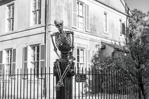 Black and White Image of Skeleton Sitting on an Iron Fence post as Halloween Decoration