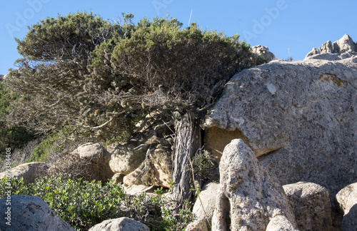 Isola Caprera, Arcipelago di La Maddalena, Sardegna