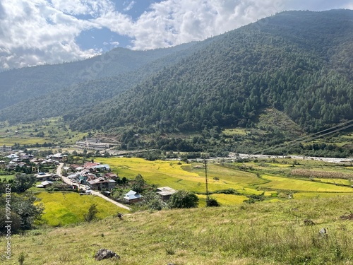 Scenery of mountain and paddy field in Chug Valley Arunachal Pradesh