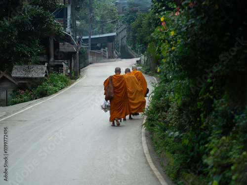 Ban Mae Kampong village is surrounded by the forest area with the domination of hill evergreen forest in Chiang Mai, Thailand.