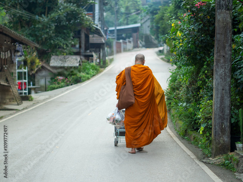 Ban Mae Kampong village is surrounded by the forest area with the domination of hill evergreen forest in Chiang Mai, Thailand.