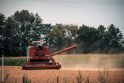 Vintage Tractors – Timeless Machines #VintageTractor #ClassicTractor #OldTractor #TractorLovers #FarmingHeritage #RestoredTractor #TractorOfTheDay #FarmLife #AgricultureHistory #RetroMachine #Mechani