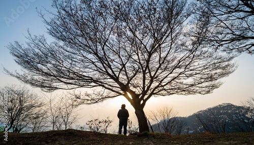 겨울철 나뭇잎이 없는 가지 아래 혼자 서 있는 사람의 실루엣