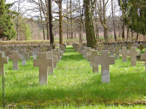 Old military cementary in Lamsdorf/Łambinowice, Poland