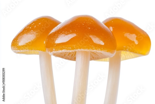 Close-up of three shiny orange mushrooms with white stems on a white background